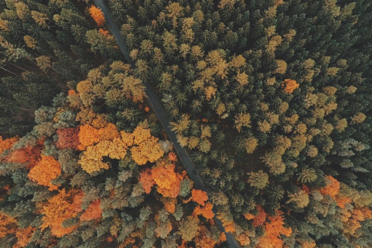 Photo 1 of Sunset Family Pool